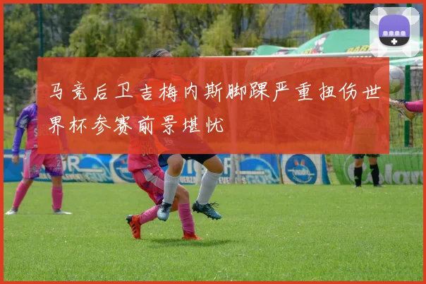 马竞后卫吉梅内斯脚踝严重扭伤世界杯参赛前景堪忧