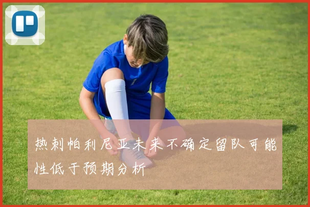 热刺帕利尼亚未来不确定留队可能性低于预期分析