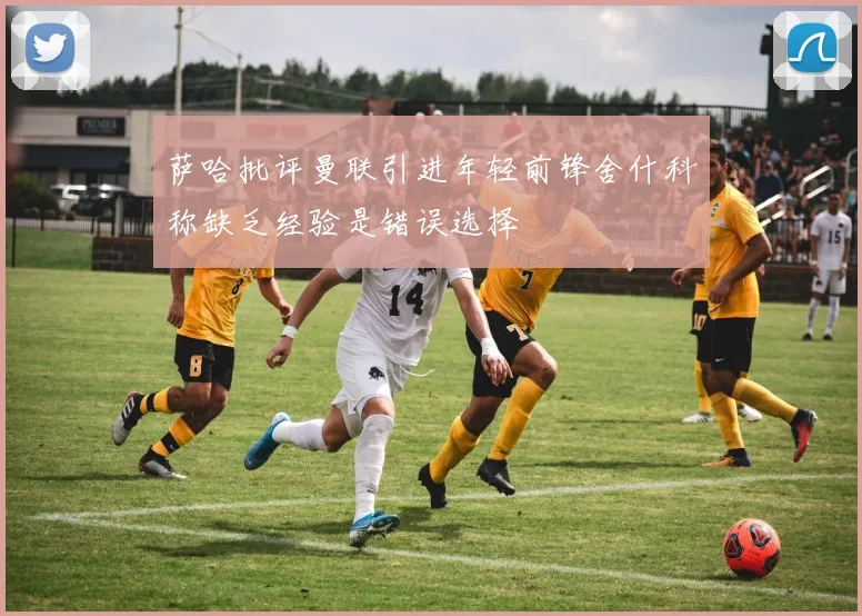 萨哈批评曼联引进年轻前锋舍什科称缺乏经验是错误选择